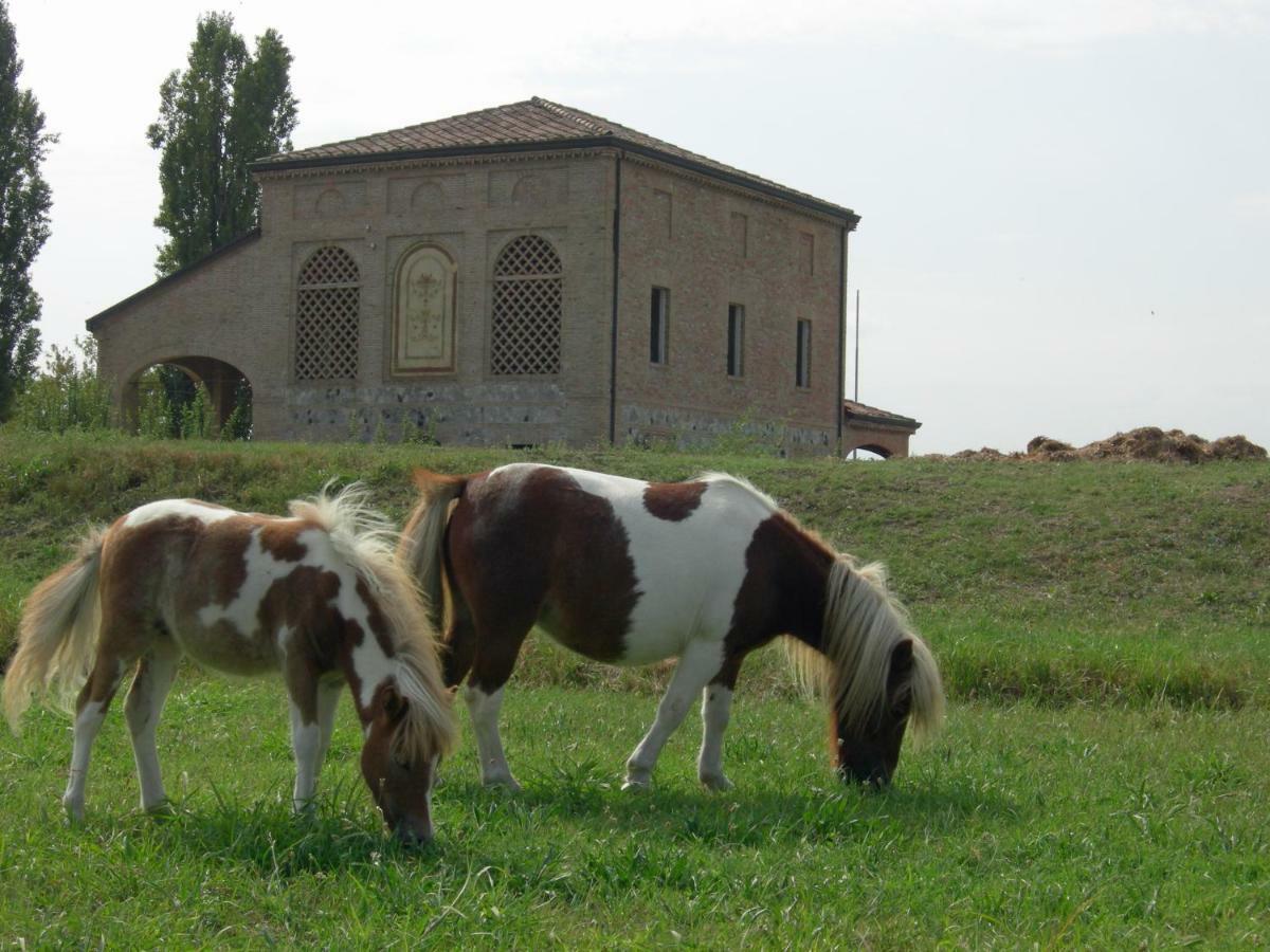 Hotel Agriturismo Corte Ghiara Fontanellato Exteriér fotografie